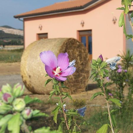 Agriturismo La Nocciolina ヴェントゥリーナ エクステリア 写真