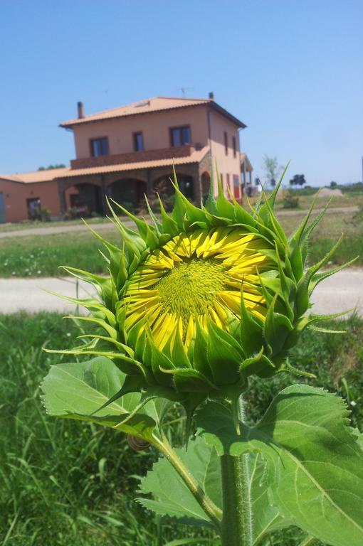 Agriturismo La Nocciolina ヴェントゥリーナ エクステリア 写真